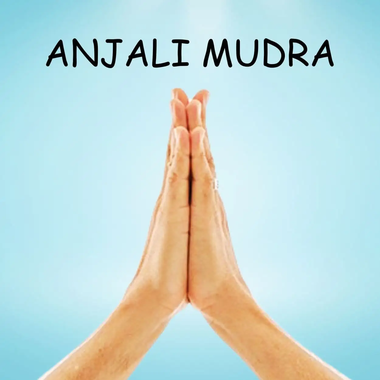 Anjali Mudra