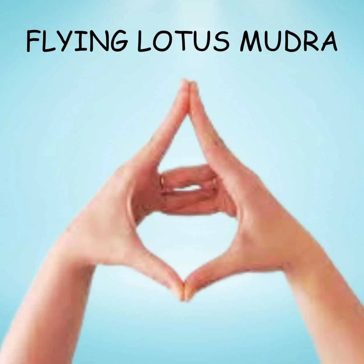 Flying Lotus Mudra