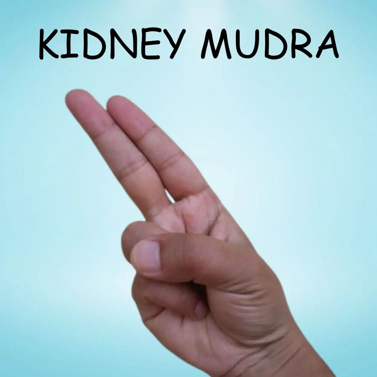 Kidney Mudra