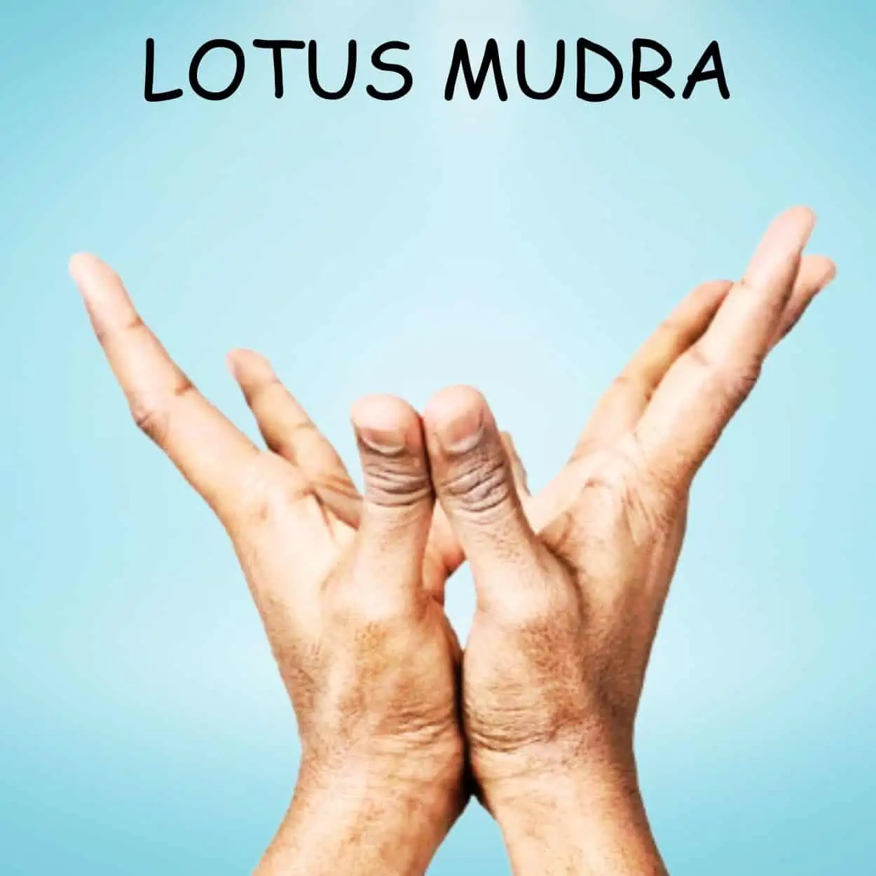Lotus Mudra