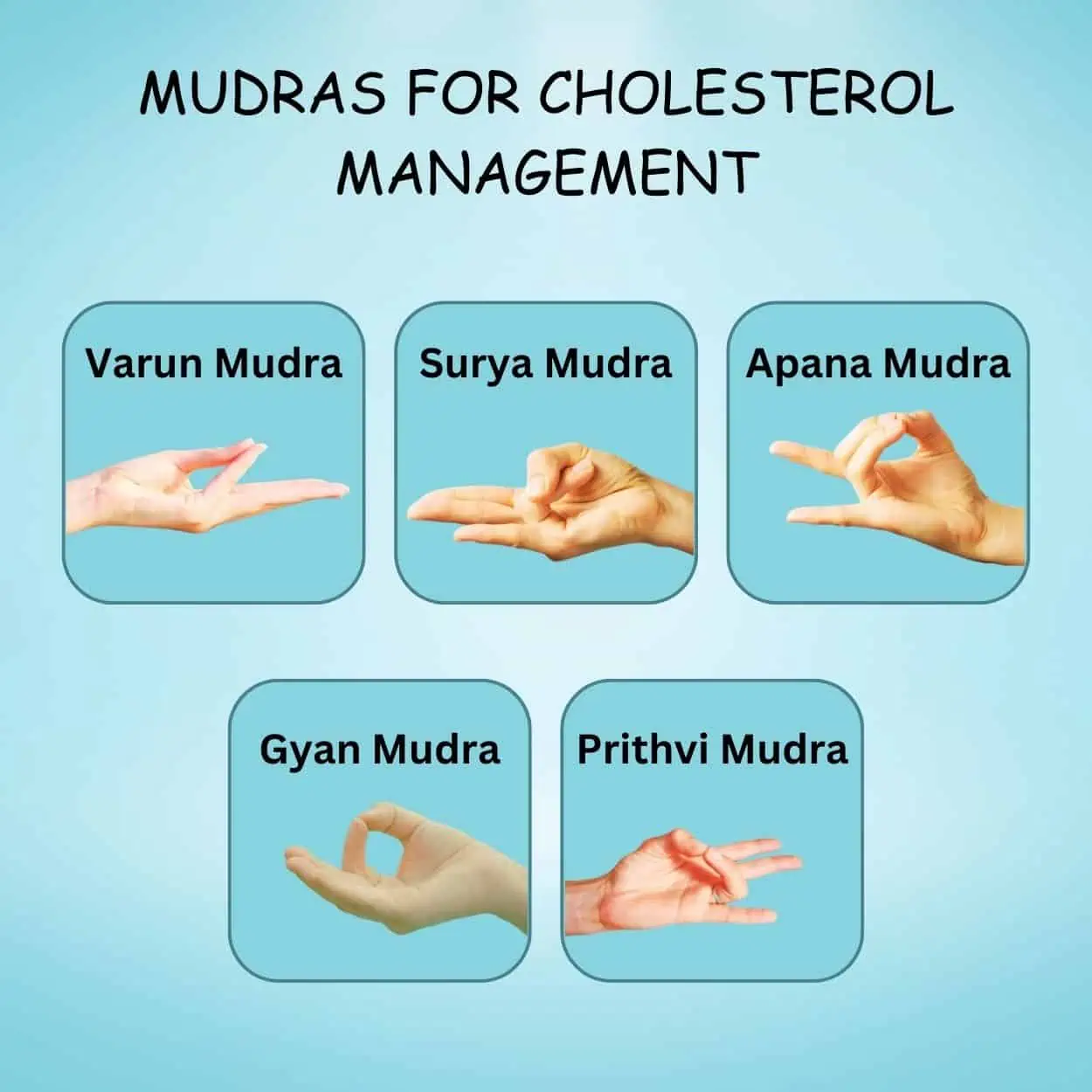 Mudras for Cholesterol Management