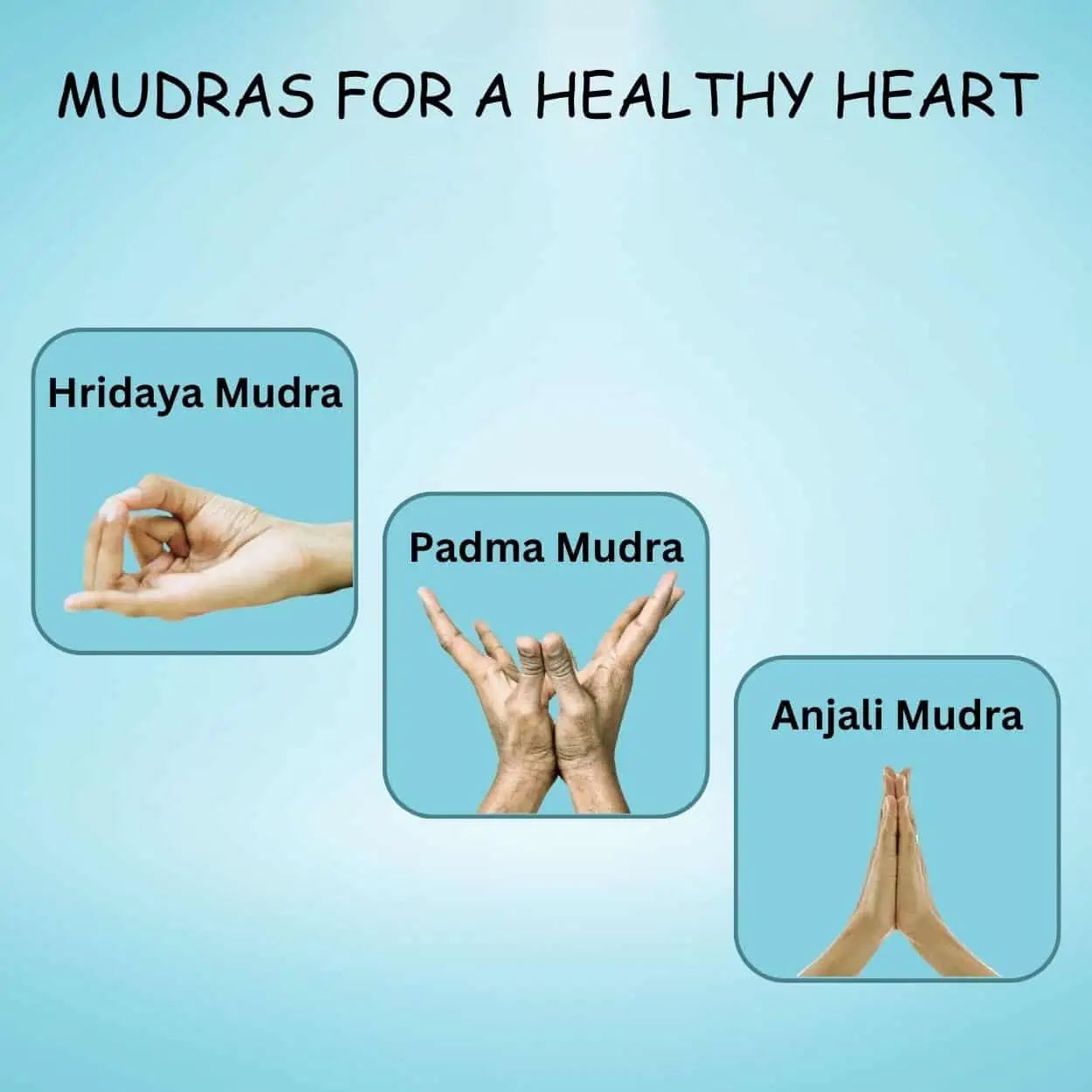 Mudras for a Healthy Heart